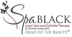 logo-spa-black